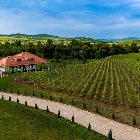 Pensiunea Sonnenhof Sighişoara Extérieur photo