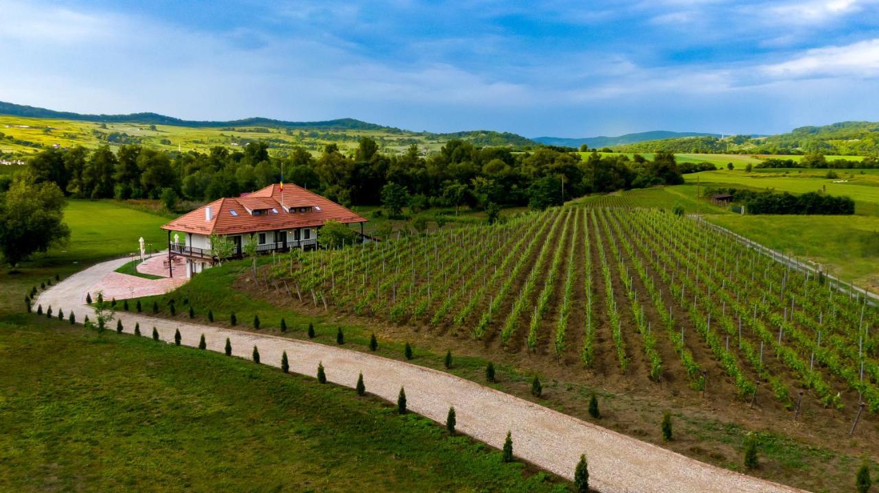Pensiunea Sonnenhof Sighişoara Extérieur photo